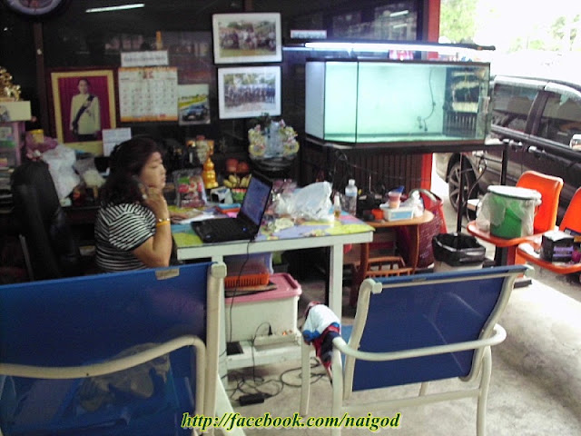 รูปภาพ