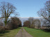 Lime Avenue, an ancient avenue up to Friston Hall