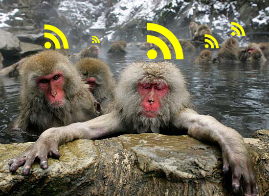 Geiger Monkeys