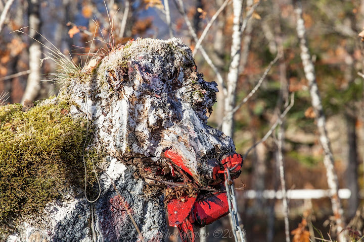 Stone cow in Norway. Photographer Benny Høynes