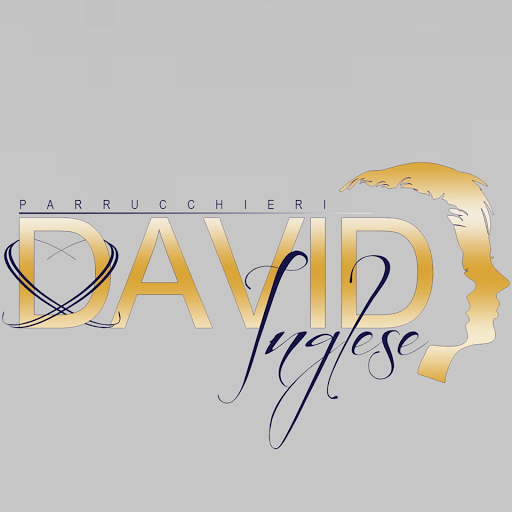David Parrucchieri logo