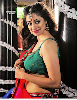 Actress Blouse Photos