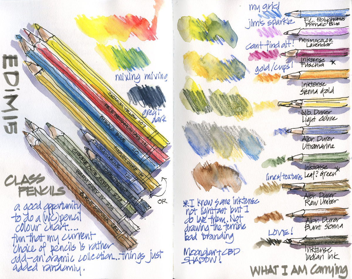 What coloured pencils do you use and why? - Liz Steel : Liz Steel