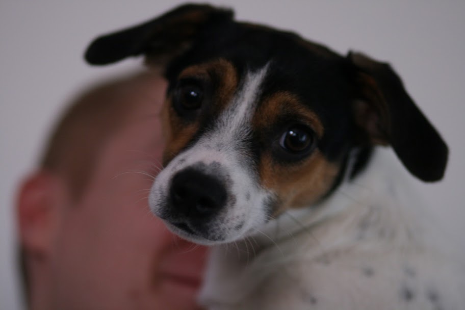 Lilli