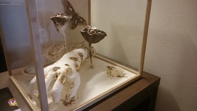 Photos of 書肆ゲンシシャ