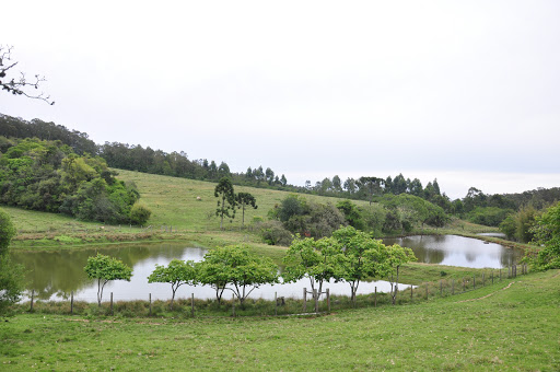 Colégio Marista Graças, Av. Sen. Salgado Filho, 8326 - Jardim Krahe, Viamão - RS, 94400-970, Brasil, Colégio_Privado, estado Rio Grande do Sul