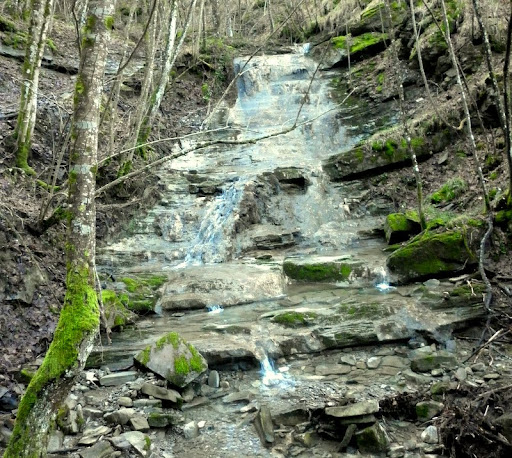 P1000635.JPG