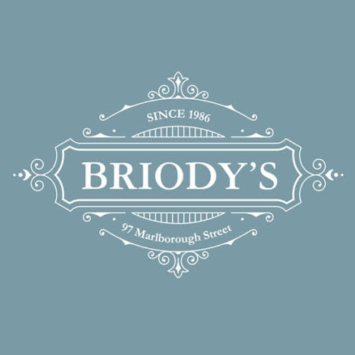 Briodys logo