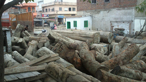 Sona Timber, Main Loni Road Bhagawanpur Kheda, Ram Nagar Extension, Shahdara, Delhi, 110032, India, Timber_Exporter, state DL