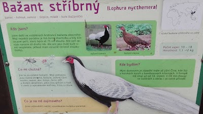 Photos of Mal&aacute; Chuchle zoo