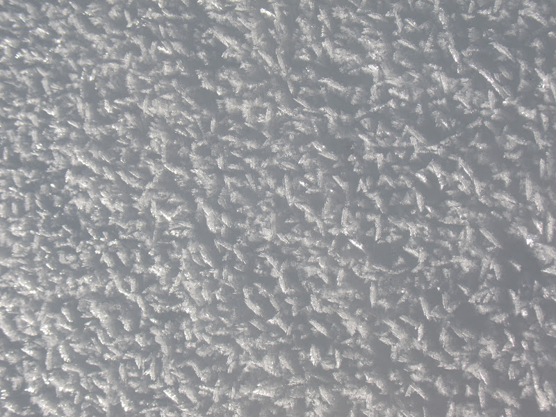 [CR & photos] WE raquettes à neige dans le Vercors IMG_5165
