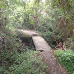 crossing a bridged creek (63932)