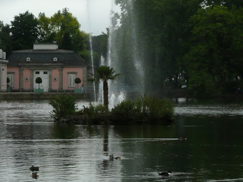 Schlosspark, Insel mit Palme.