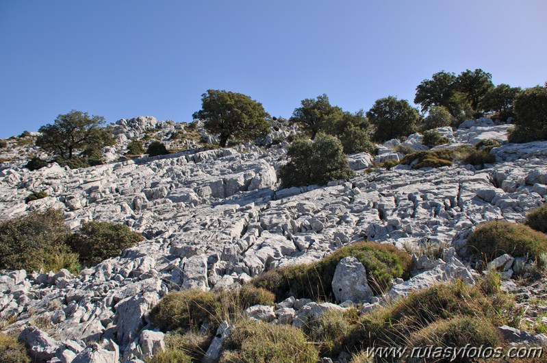 Puntal de la Raya