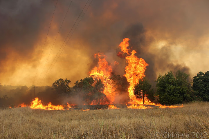 IMG_4149_creek_county_fire_080312.jpg