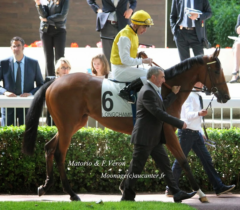 Photos Longchamp 25-05-2014 IMG_1301