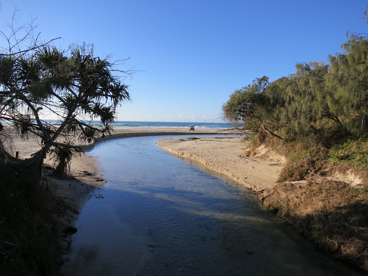 Australia de costa a costa - Blogs de Australia - Brisbane y Fraser Island, 6 al 8 de Agosto de 2012. (8)