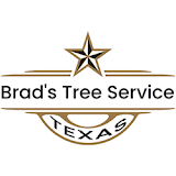 Brad's Tree Service LLC
