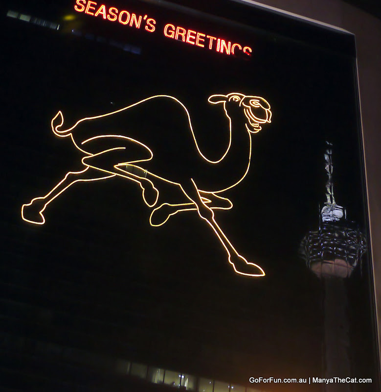 Camel and a KL Tower reflection in a building glass at night. Kuala Lumpur, Malaysia - I Think I've Got a Travel Bug - Go For Fun - Australian Travel and Activity Community