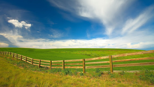 Afternoon in the Palouse Region, Washington.jpg