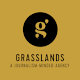 Grasslands: A Journalism-Minded Agency