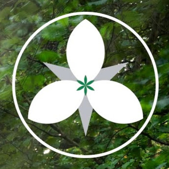 Wholistic Care Center: Dundas/Bloor - Naturopathy, Homeopathy, RMT, Kinesiology, Psychotherapy logo