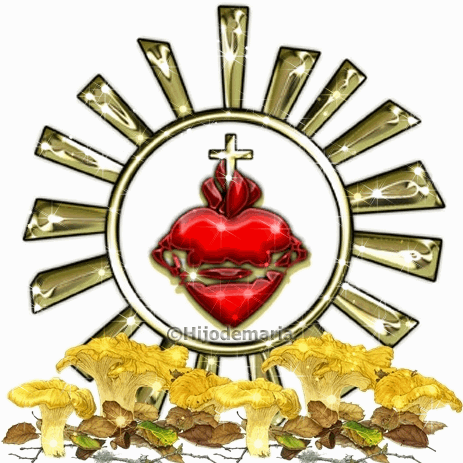 El Rosario de Liberación ofrecido como novena, romperá este vicio (Padre Moisés Lárraga)