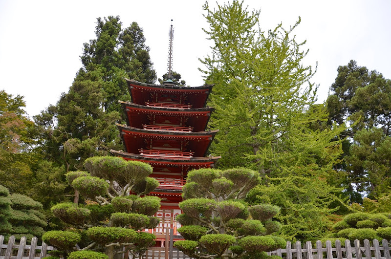 japanese tea garden