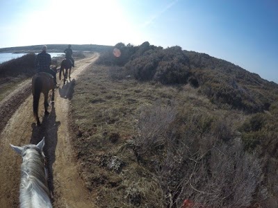 Photos of Ranch Istra Star
