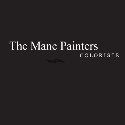 The Mane Painters - Coiffeur Coloriste logo