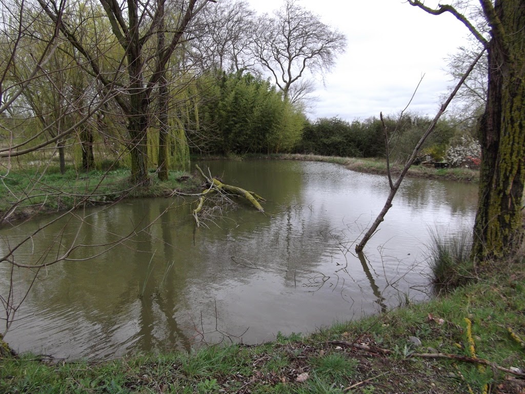 Portes ouvertes Les Étangs d'Occitanie 28 mars 2015 DSCF5180