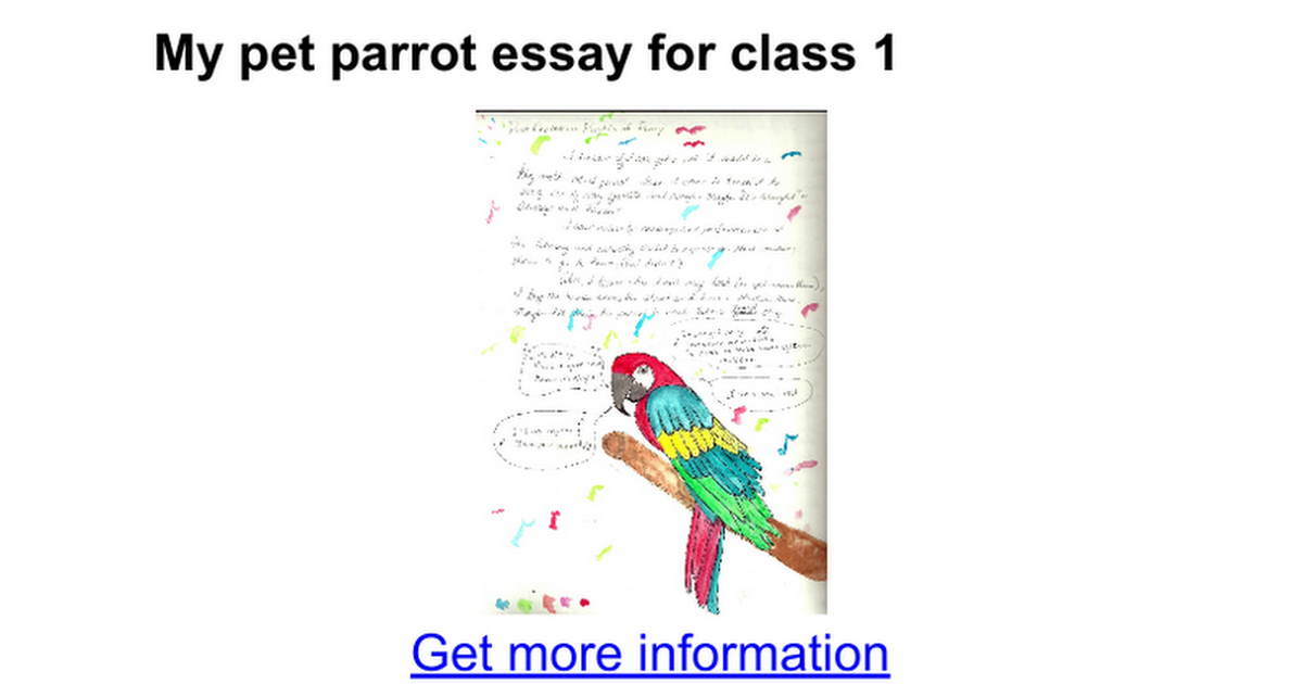 my pet parrot essay for class 1