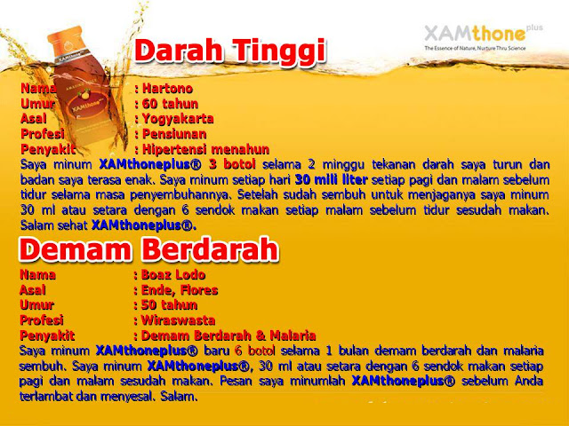  TESTIMONI KEHEBATAN XAMTHONE PLUS