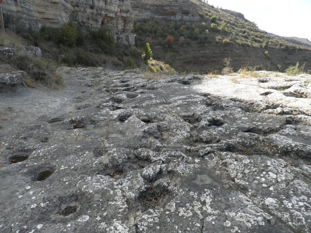 LA RIOJA EN VENDIMIA, PARA TODOS LOS GUSTOS - Blogs de España - Lunes: Ruta del Cañón del Leza y una vuelta por Logroño (5)