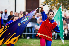 Vigevano Palio delle Contrade 2014