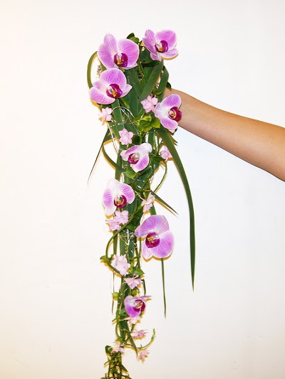 Photos of Warmdal Blomster