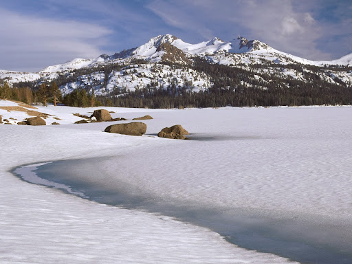 winter_wall007.jpg