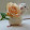 giovanni pellegrino giovanni pellegrino's profile photo