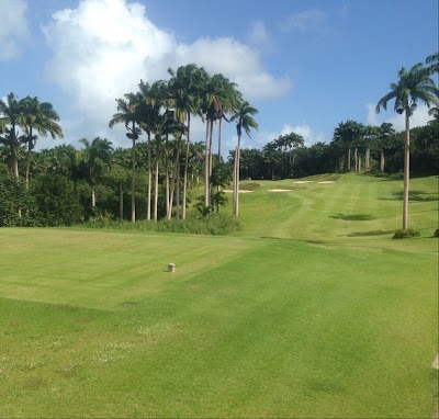 Photos of Apes Hill Polo Club- Barbados