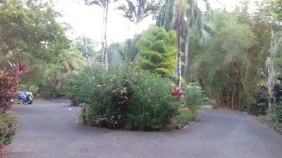 Photos of Jaco Hotel DoceLunas