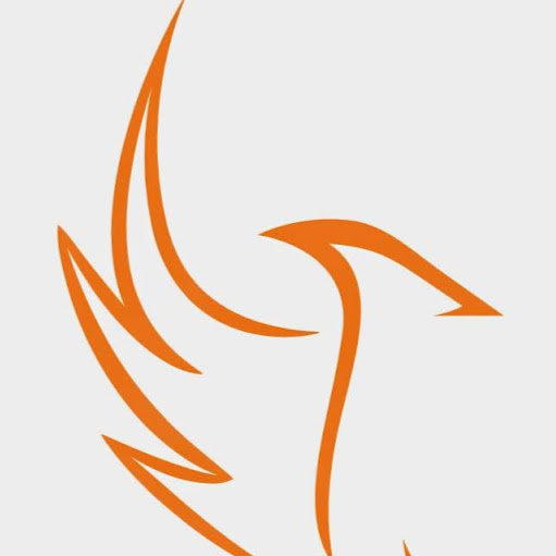 Phoenix Fitness Denver - Pre & Post Bariatric Surgery Fitness Expert logo