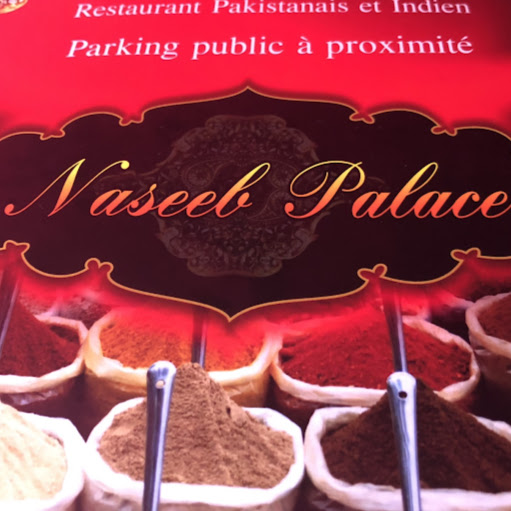 Naseeb Palace logo