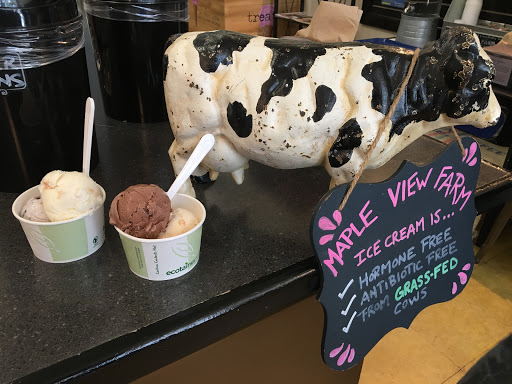 Ice Cream Shop «Treat», reviews and photos, 305 S Blount St, Raleigh, NC 27601, USA