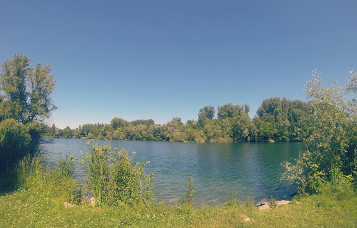 Ballastière de Bischheim