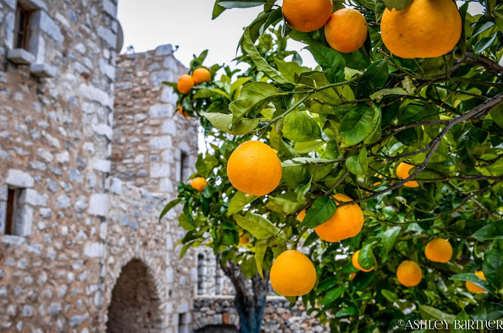 Oranges - Exploring the Mani, Southern Peloponnese, Greece