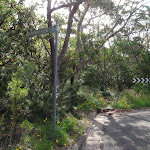 Tarpeian Rock signpost of Cliff drive (93838)