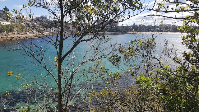 Manly Beach