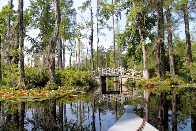 Cypress Gardens