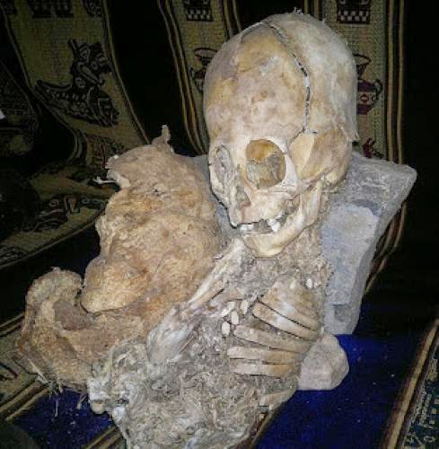 Alien Skull Found In Peru Claimed By Rpp What Reality Behind Latest Internet Buzz Alien Skull Found In Peru Claimed By Rpp What Reality Behind Latest Internet Buzz