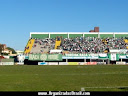 TORCIDA RAÇA VERDE